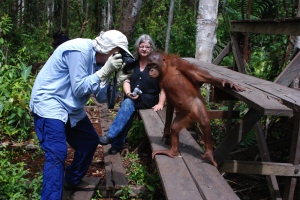 michael-borneo